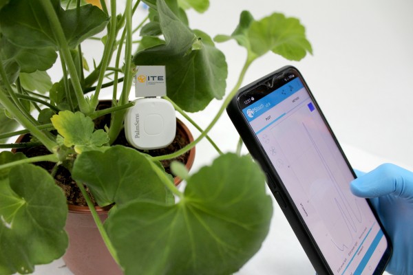 El ITE crea el primer biosensor para plantas que monitoriza la calidad del ambiente con la savia


