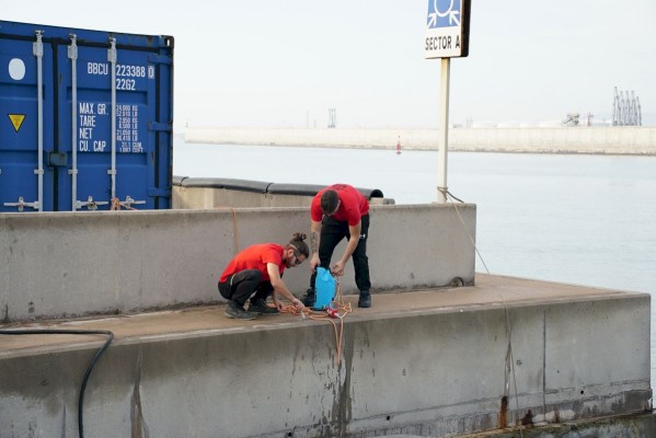 PortCastelló instala estructuras para renaturalizar el área portuaria y mejorar la regeneración marina