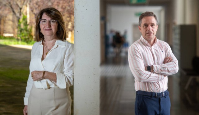 La UA elige entre continuidad o enmienda: estos son los retos (y no son educativos)  