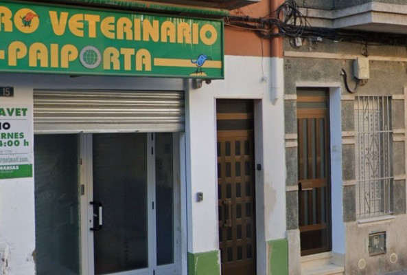 Una veterinaria de Paiporta quiere reabrir su clínica arrasada por la Dana: 