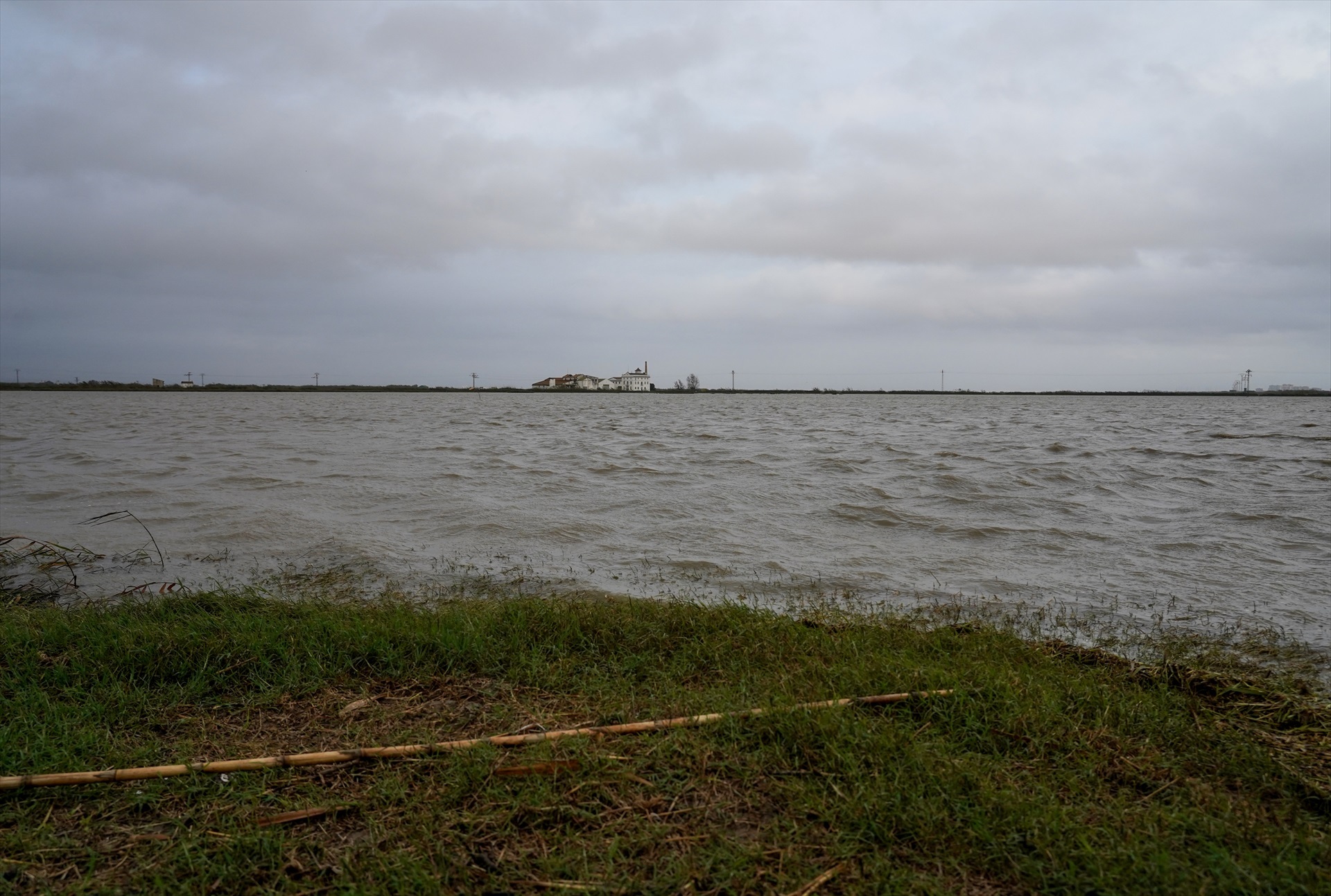 Foto: E.MANZANA/EP - 