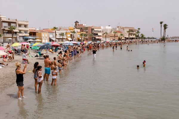 Los argumentos del Constitucional para avalar la ley del Mar Menor: 