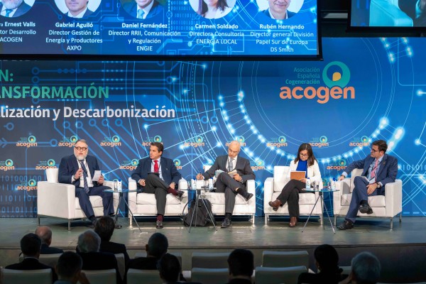 La cogeneración espera que el nuevo marco de inversión de sea una realidad a inicios de 2025
 
