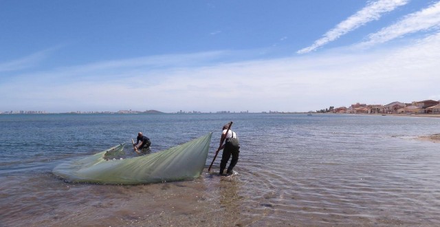 Comunidad y Gobierno central desarrollarán tecnología para desnitrificar agua que llega al Mar Menor