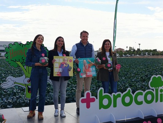 La Región cosechará 224.000 toneladas de brócoli esta campaña, un 21% más