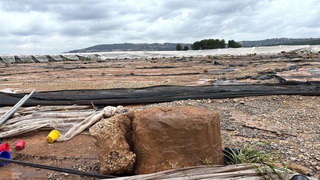 AVA-Asaja asegura que las ayudas directas de la Dana dejarán fuera a más del 80% de agricultores