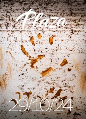 La Dana, portada de noviembre de la revista Plaza 

