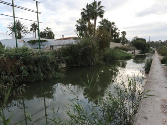 AHSA denuncia que San Fulgencio urbanizará en la desembocadura del Segura, en zona inundable