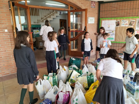 Alumnos de Murcia y Alicante se movilizan para ayudar a afectados por las inundaciones en Valencia