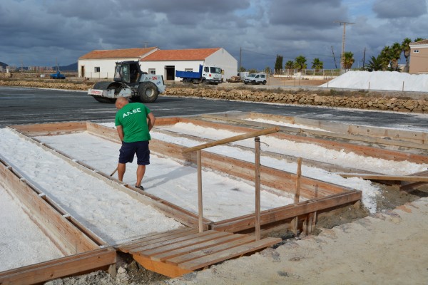 Anse logra volver a cosechar en las Salinas de Marchamalo 30 años después