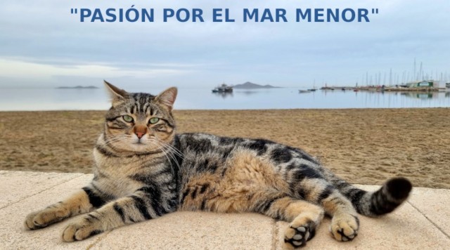 La pasión por el Mar Menor convertida en instantes de belleza: Pascual Ballesteros expone sus fotografías en Cartagena
