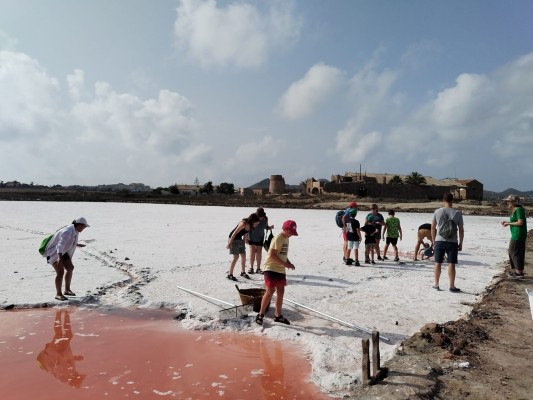 El sueño de ANSE en las salinas de Marchamalo: este paraíso natural tendrá su primera cosecha de sal tras 30 años 