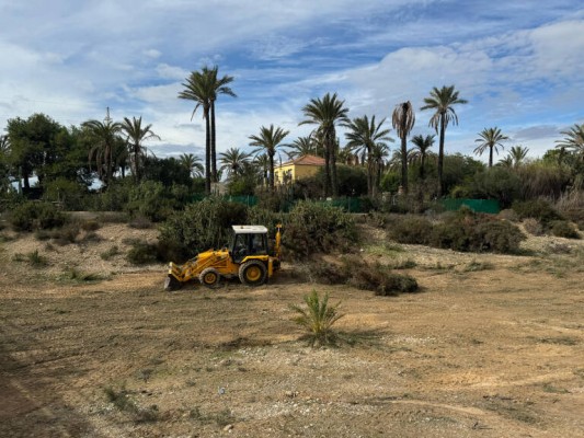 La limpieza de los barrancos en Elche sigue en el foco por la actuación y su justificación técnica