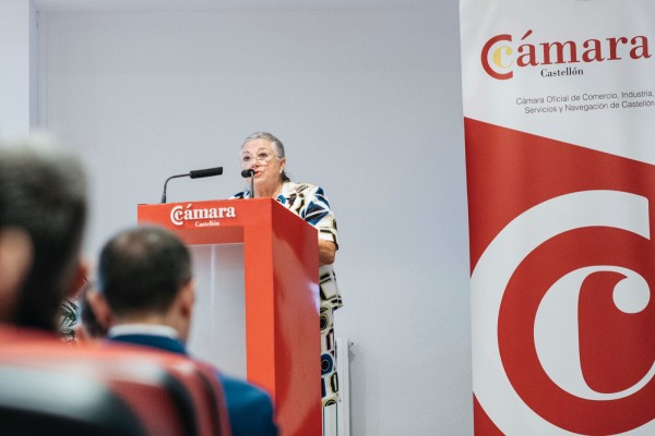 Castellón debate la suma óptima de las tecnologías renovables más eficientes para la industria
