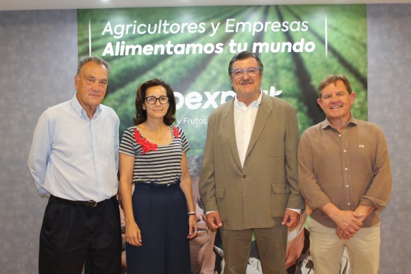 El murciano Cecilio Peregrín, nuevo presidente de la sectorial de lechuga de FEPEX