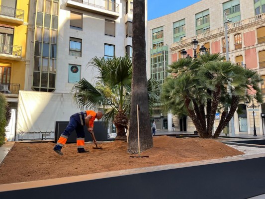 Castelló pondrá césped natural y plantará 500 flores de temporada en la plaza de la Paz