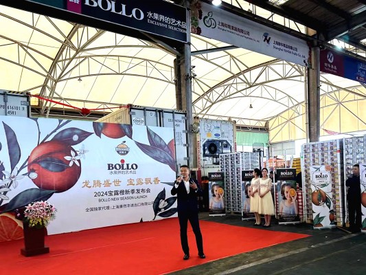 Bollo Natural Fruit se consolida en China con un 80% de los cítricos españoles consumidos

en el país