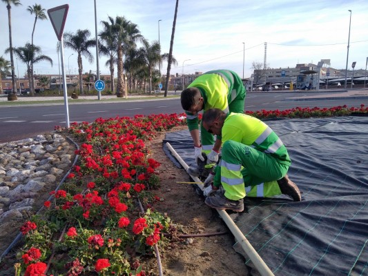 La entrada a la Arrixaca se llena de color con más de 2.000 geranios