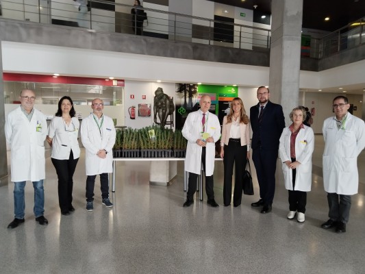 Los pacientes del Reina Sofía reciben una planta de pino para conmemorar el Día Mundial de los Bosques