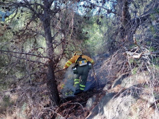 Controlado el incendio forestal declarado en el monte Miravete de Torreagüera