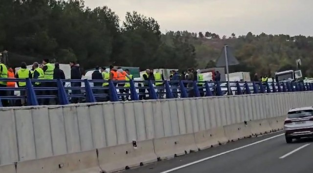 Más de 400 vehículos paralizan el Puerto de la Cadena por las protestas de los agricultores