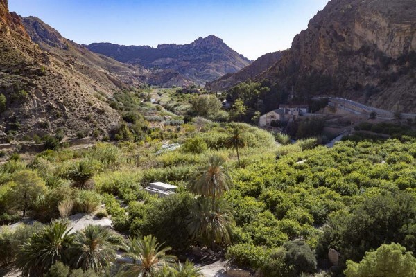 El Valle de Ricote, un oasis que aspira a ser uno de los pocos paisajes agrícolas del mundo protegido por la FAO