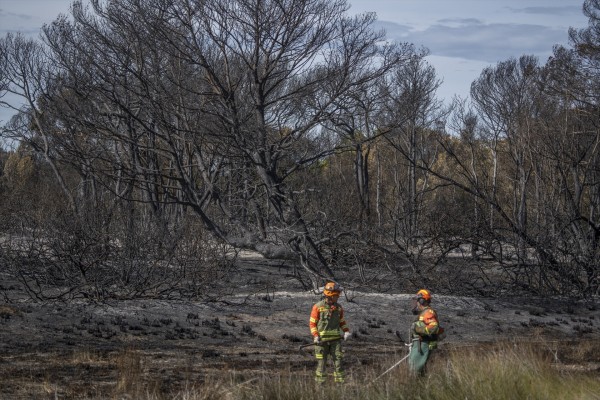 Imágenes del área devastada por el incendio de El Saler