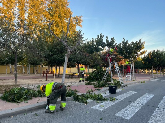 Murcia inicia la 'operación poda' de otoño para cerca de 20.000 moreras 