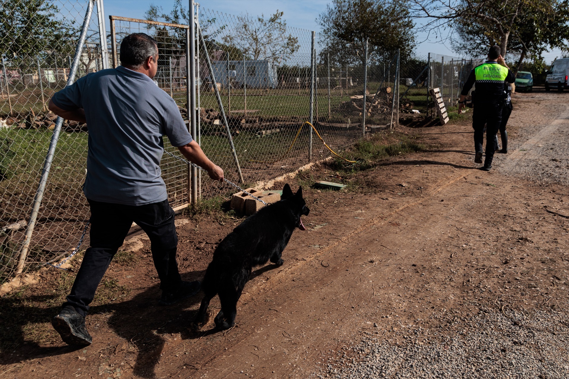Así trabajan perros adiestrados ante catástrofes: 