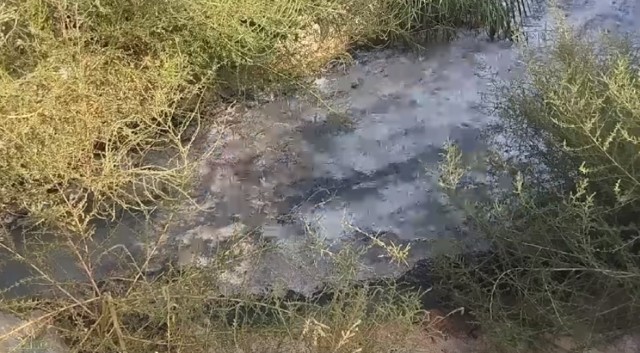 El Seprona investiga un posible vertido de aguas residuales al río Argos en Calasparra