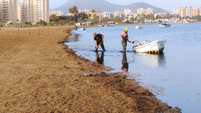 El Ayuntamiento elimina la suciedad acumulada por el temporal en la playa de los Alemanes