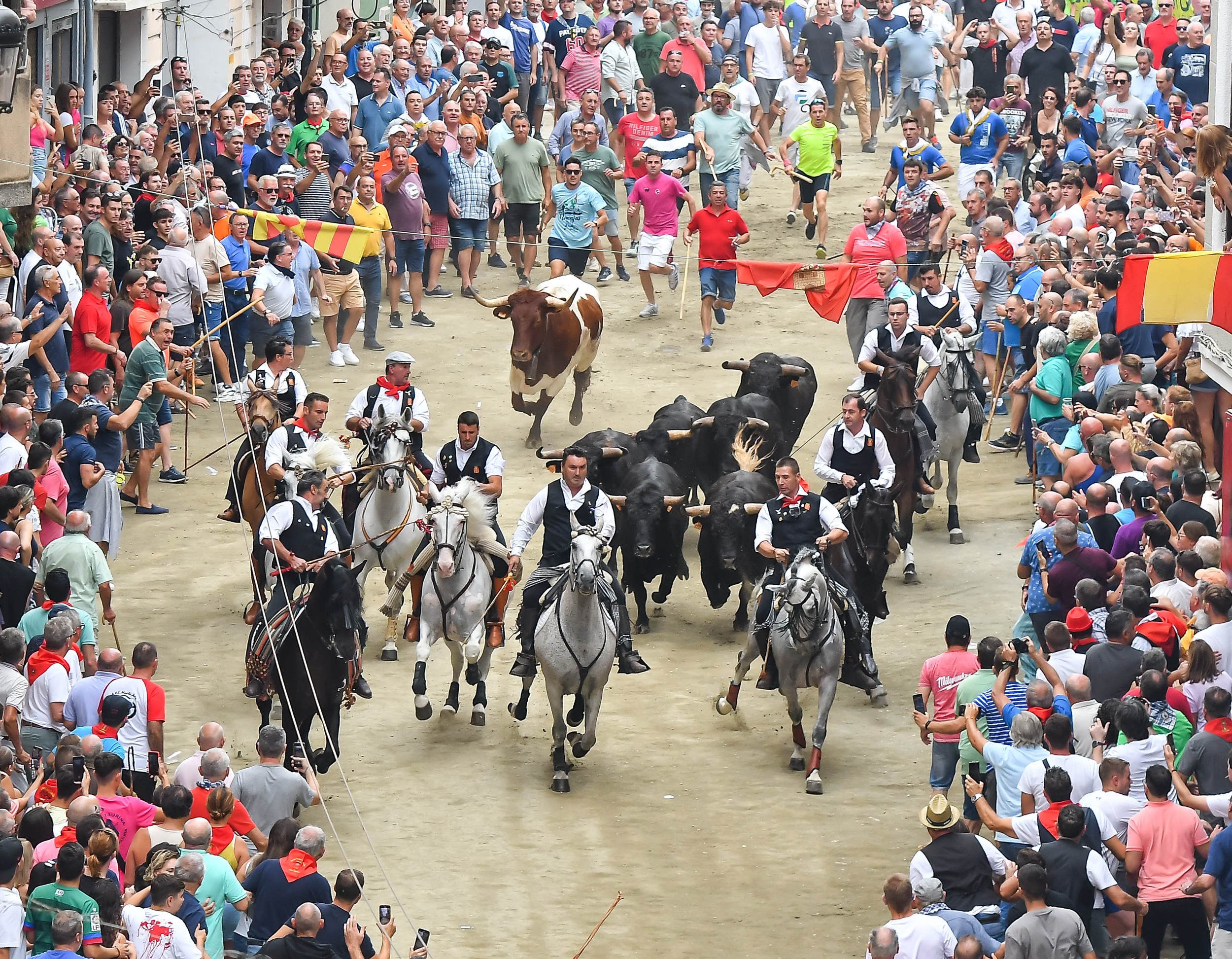 Segorbe acoge una quinta Entrada de Toros y Caballos veloz e inmaculada