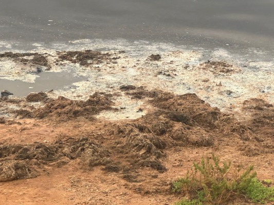 El temporal acumula suciedad en la playa de Los Alemanes ante la 