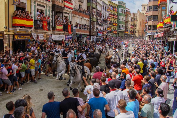 Los caballistas vuelven a demostrar su pericia en la cuarta Entrada de Toros y Caballos de Segorbe
