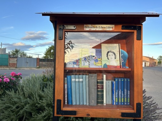 La educación de los libros libres