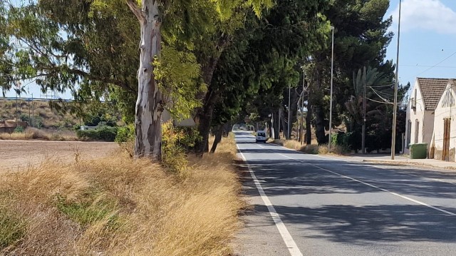 La maleza y arbustos en la carretera que une Santa Ana y el Polígono provoca problemas de seguridad vial  