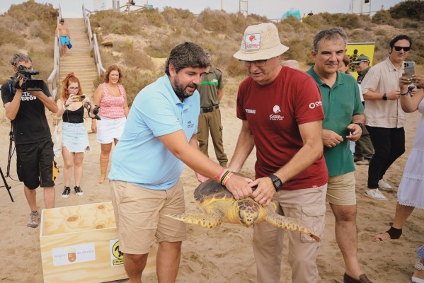 Liberan un ejemplar de tortuga boba en Águilas, llegando así a 33 ejemplares recuperados en los últimos diez años

