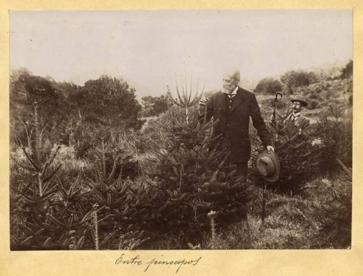 Huermur pide proteger el monumento a Ricardo Codorníu en Murcia en el centenario de su fallecimiento

