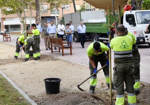 Murcia plantará 50.000 nuevos árboles en 4 años