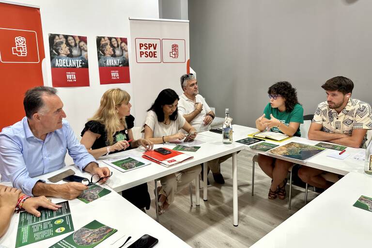 Les associacions contra les macroplantes solars demanen racionalitat als partits polítics
