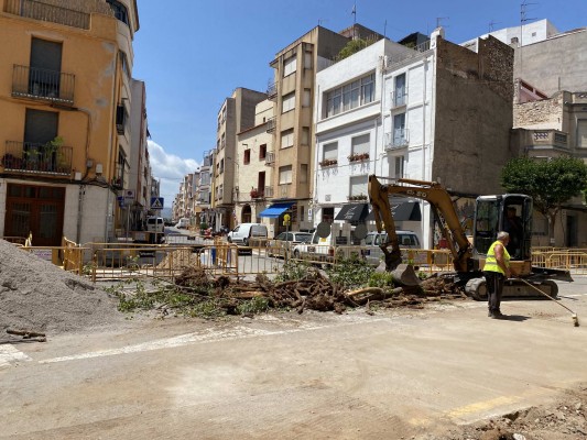 Compromís reclama modificacions del projecte de l'Eix Cívic de Benicarló si implica arrencar arbres