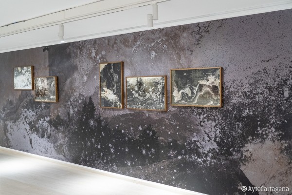 Cuando la fotografía pierde el alma y alberga fantasmas: Joan Fontcuberta expone 'Trauma' en Cartagena