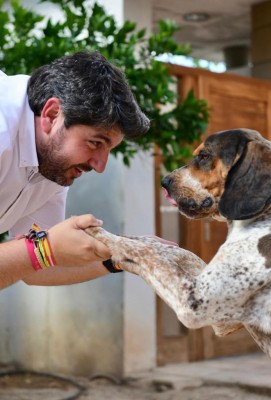 Así pasan el Día de Reflexión: pasear con 'Pepe', visitar el santuario, ver 'Guardianes de la Galaxia'... 