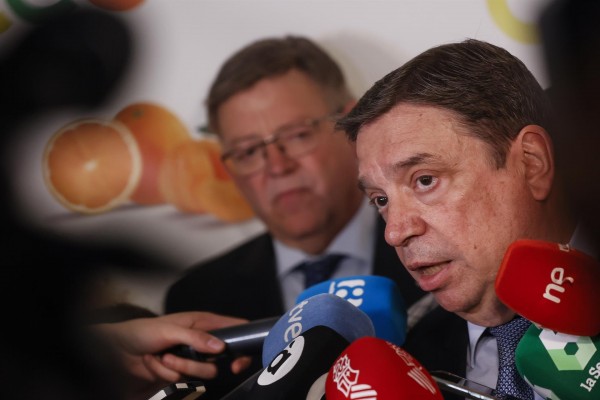 El CGC cumple 50 años defendiendo el comercio de cítricos y con una facturación de 2.700 millones