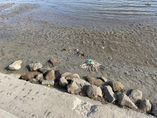 No hay 'verano azul' en Los Nietos: la llegada del buen tiempo no agiliza la limpieza de las playas
