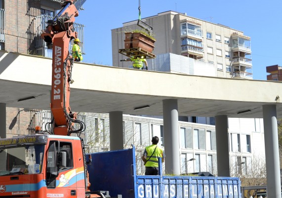 Murcia apuesta por el 'verde': tendrá un un huerto-jardín de moreras junto al Malecón