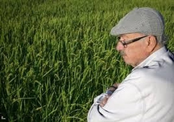 Fallece a los 85 años el empresario Juan Haro García, fundador de Arroces 'Flor de Calasparra'