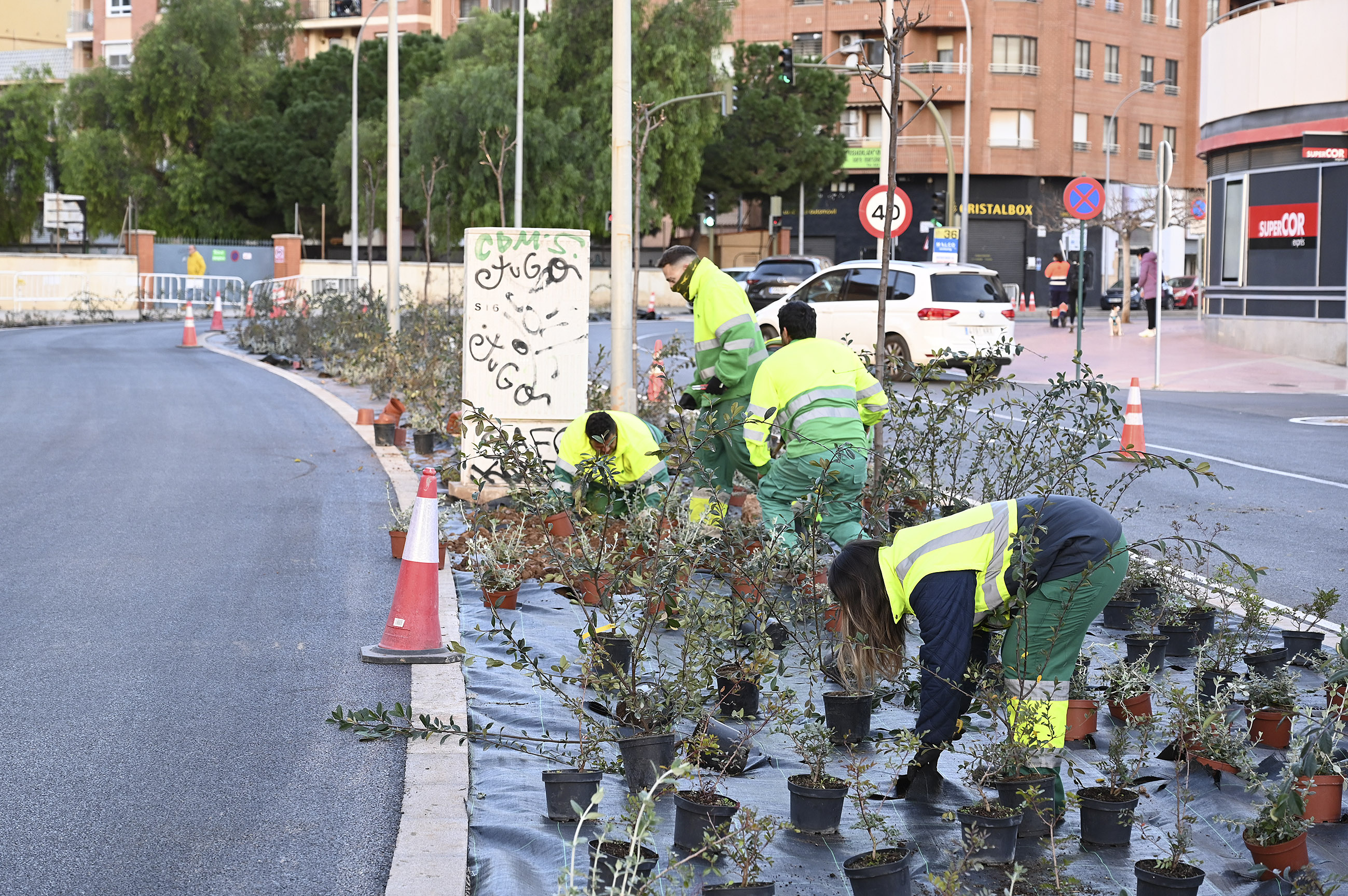 La reforma de la avenida Lidón encara la meta: el Fadrell prevé recibir la obra el 31 de enero