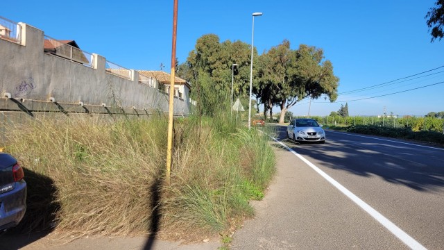 Críticas ante la 