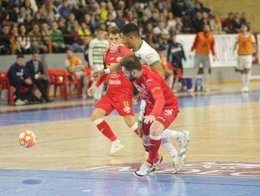 ElPozo y Jimbee coincidirán por tercer año consecutivo en la Copa 